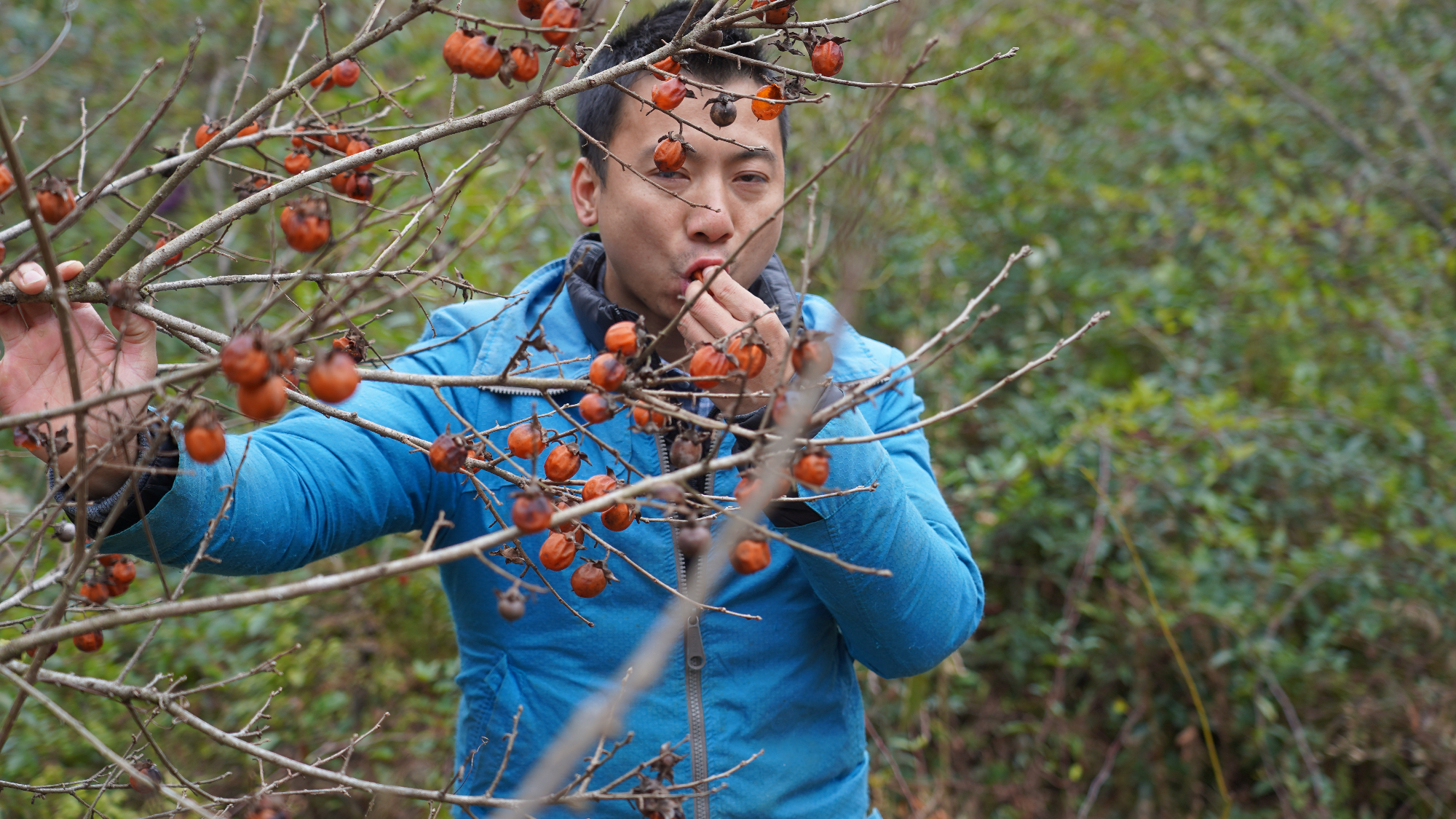 華農兄弟:看一下兄弟收藏的隕石,順便嘗一個他種得臍橙