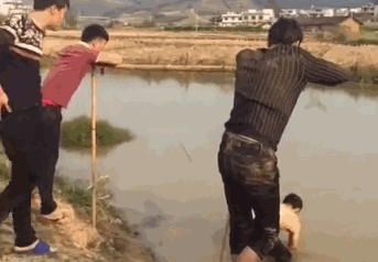 卧龙凤雏行为图鉴