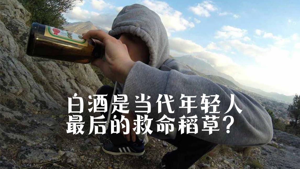 白酒是当代年轻人最后的救命稻草?