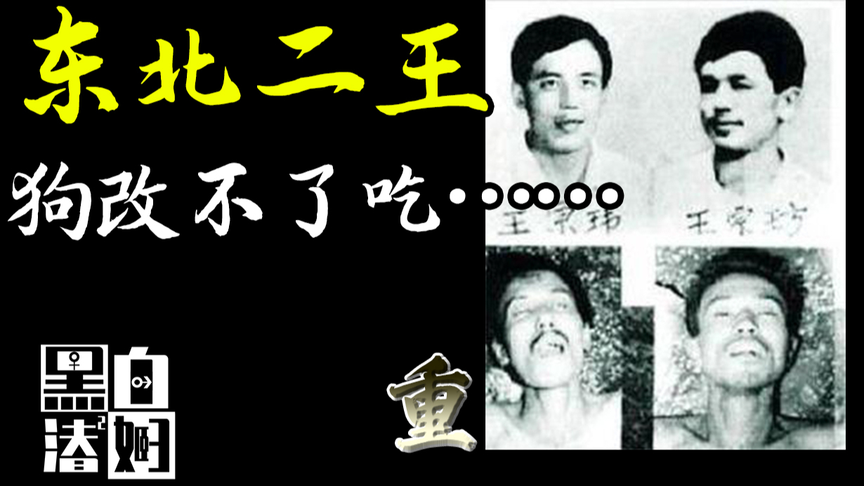 疯狂逃窜7个月,3万警力围剿才覆灭的东北二王 | 黑白夫妇