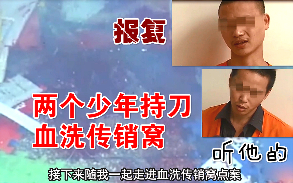 两个年轻刀客卖血抢劫,血洗传销窝点!原因竟然是因为爱情