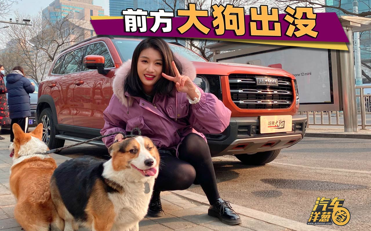 “网红车”是外强中干?哈弗大狗家用表现如何?