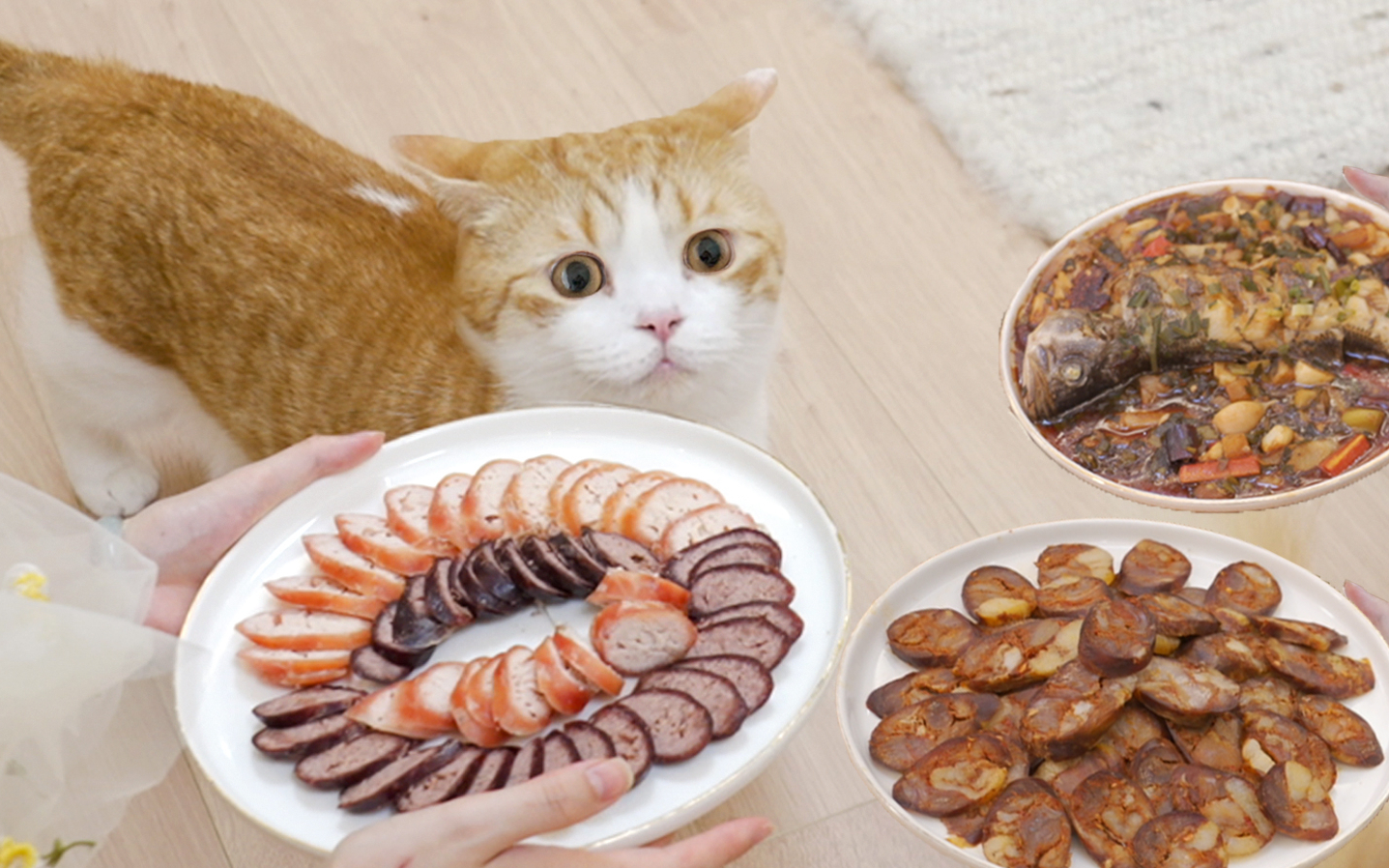 计划一年,和猫做了一桌年夜饭,花花与三猫新年特辑!