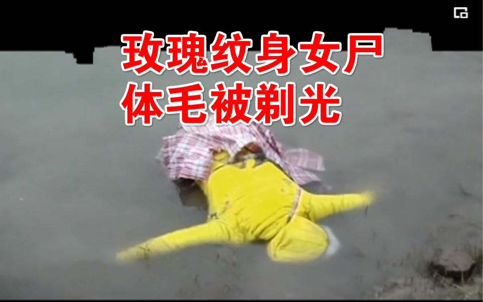 玫瑰纹身女尸案:体毛被剃掉,生前卖淫吸毒