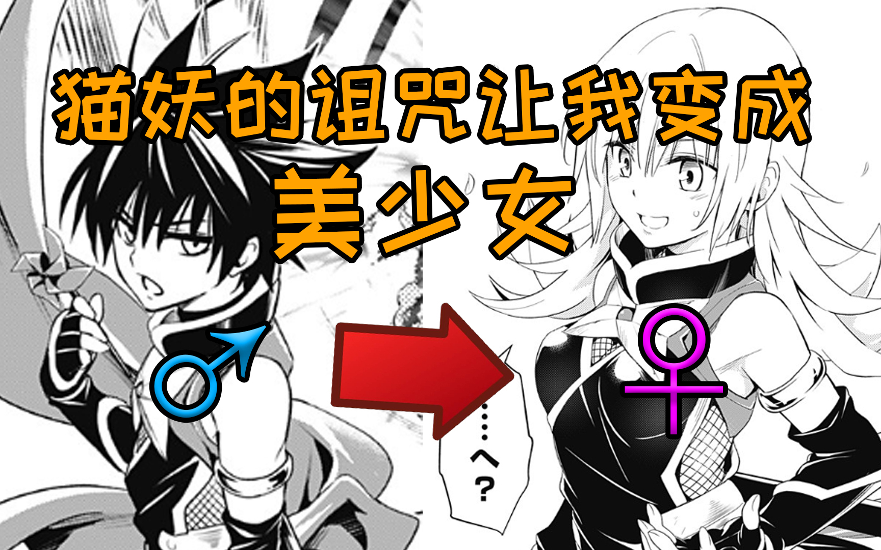 猫妖为了让男女主不能秀恩爱,就把男主也变成了美少女!?