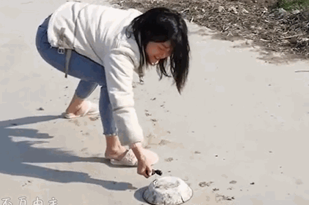过年沙雕行为图鉴