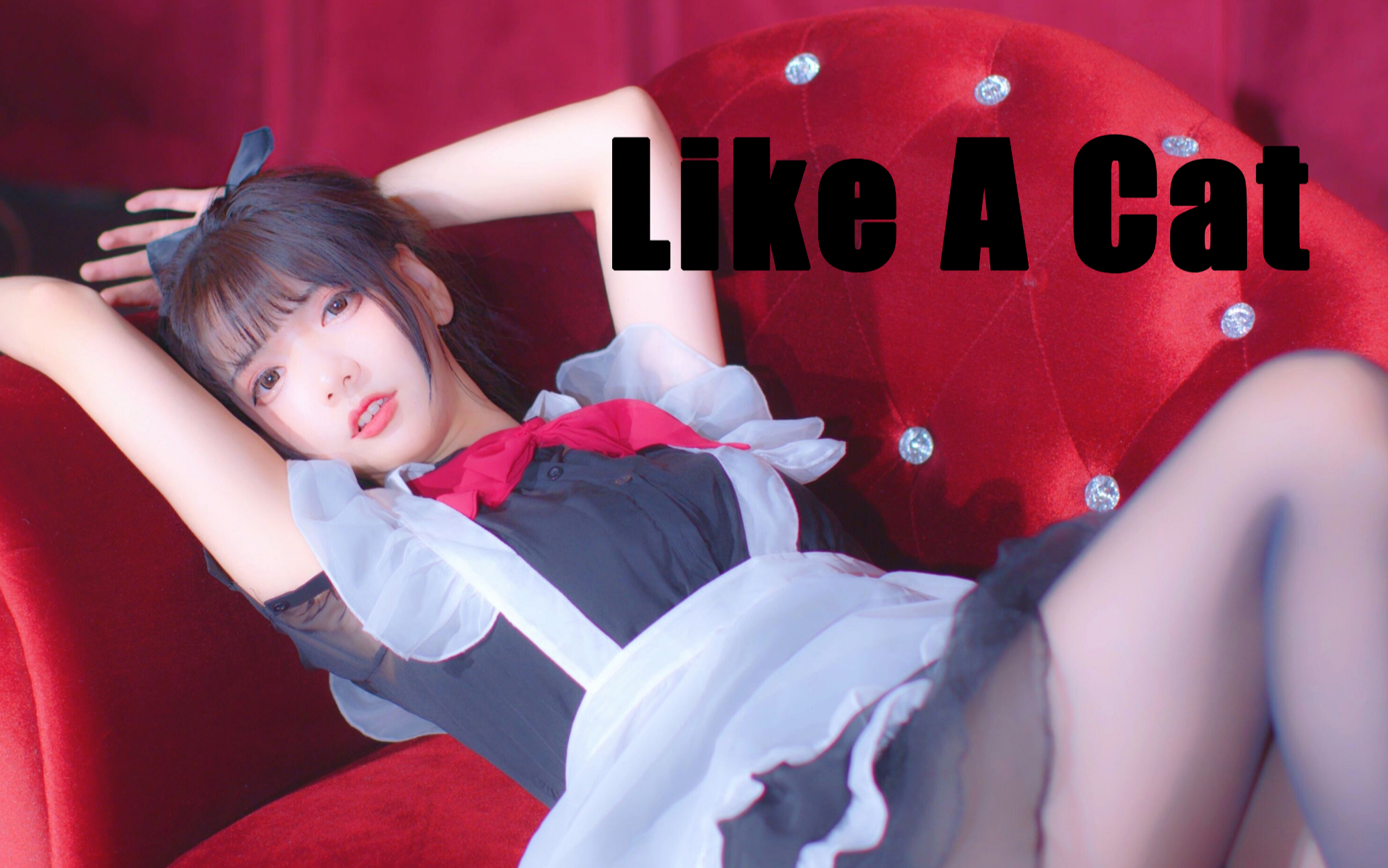 甜蜜诱惑★黑丝猫尾女仆【Like a cat】