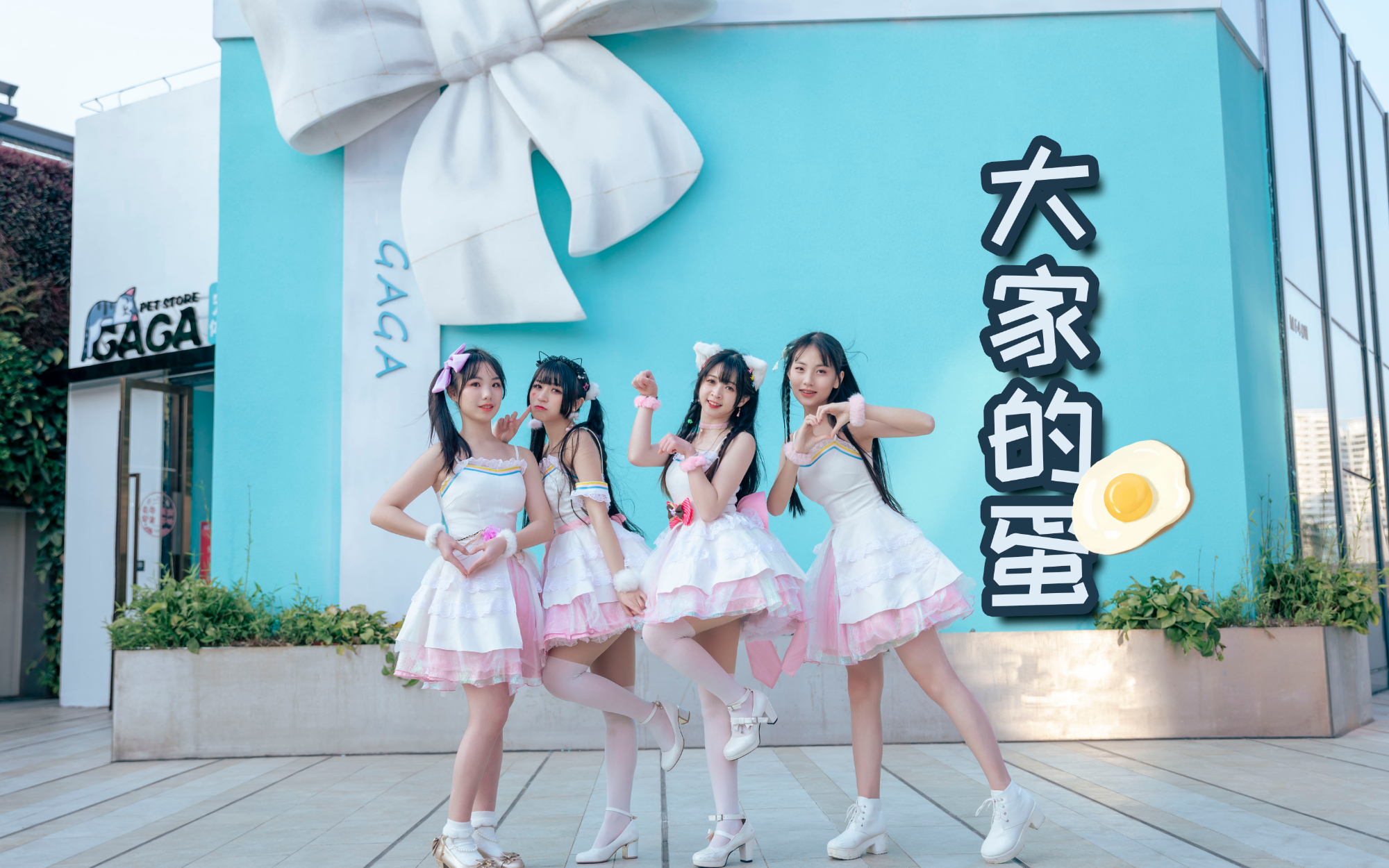 【卿斗x楚鸢×沈尧×筱落】大家的蛋 才是真的蛋!!!
