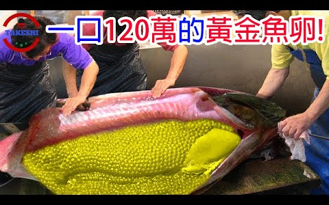 【生物放大鏡】吃一口讓你破產的黃金魚卵 耗時100年才能取得的稀有魚卵 世界上最貴的食物