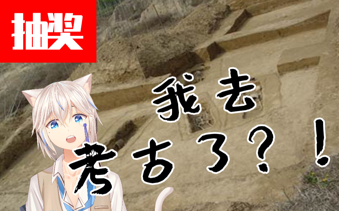 绝育猫猫竟去考古?!【抽奖】