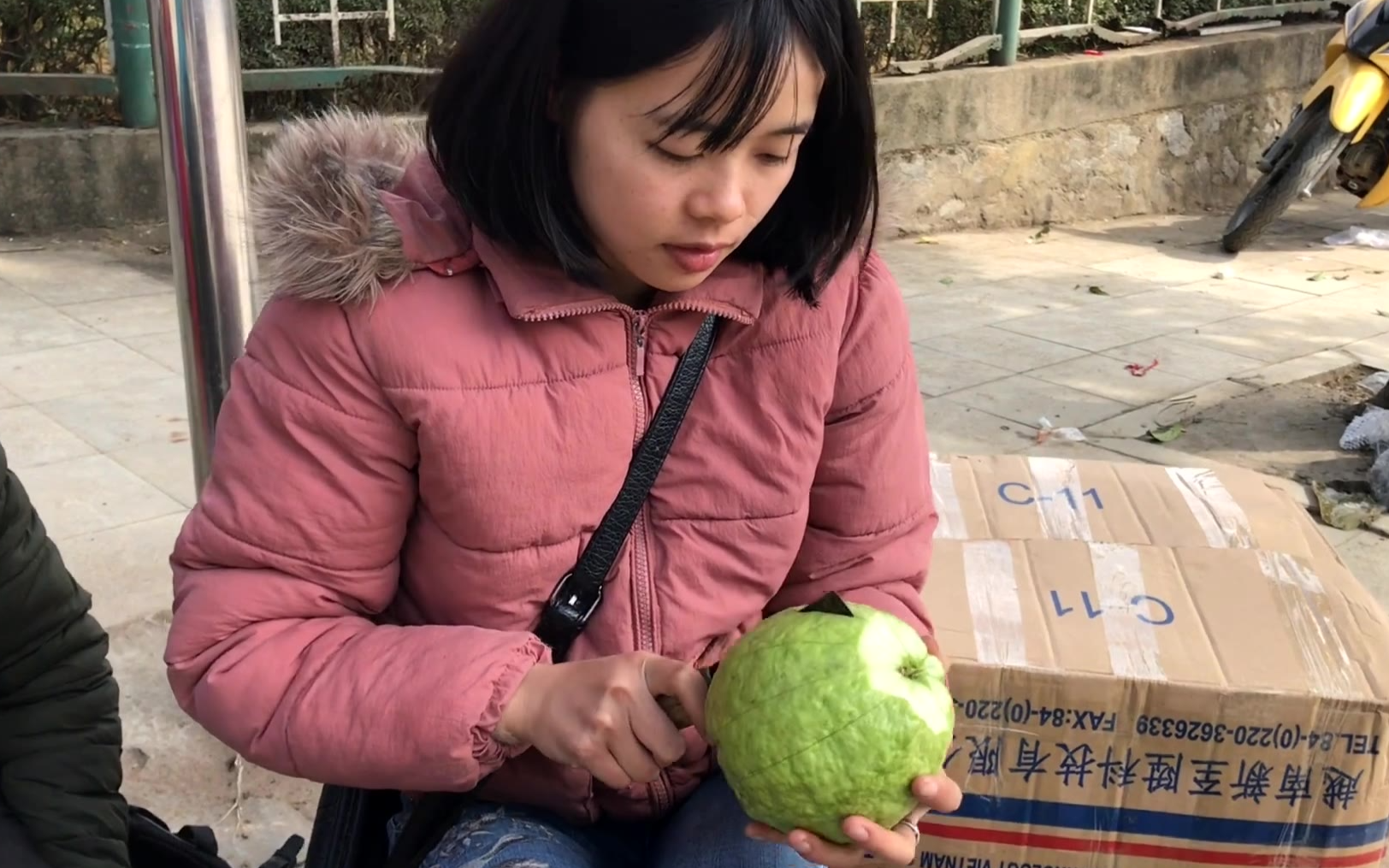 中文不错的越南美女失业了,却只能摆地摊卖水果为生,最后视频有个惊喜。