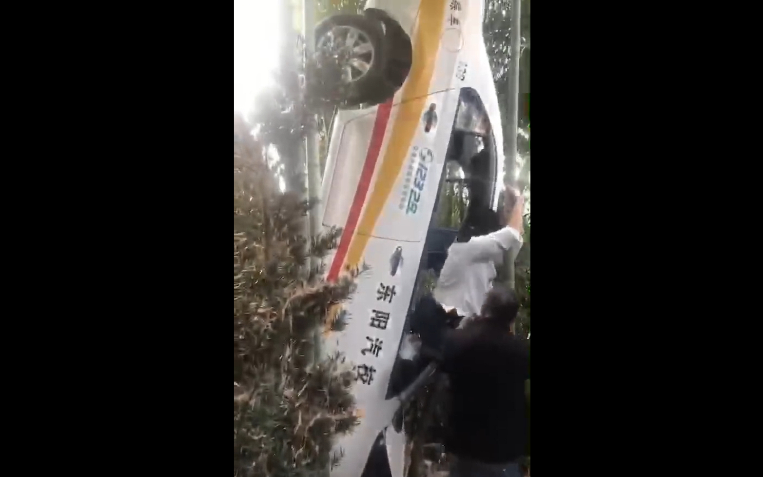 驾校迷惑行为大赏①