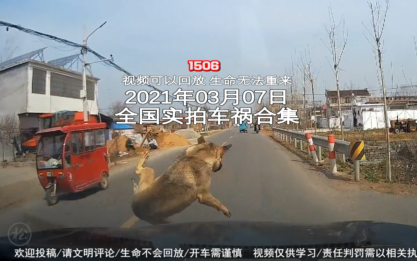 1506期:司机酒后驾车出去寻找走丢的狗狗,把人家大门撞了【20210307全国车祸合集】