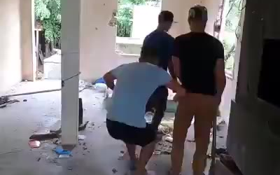 动物凶猛