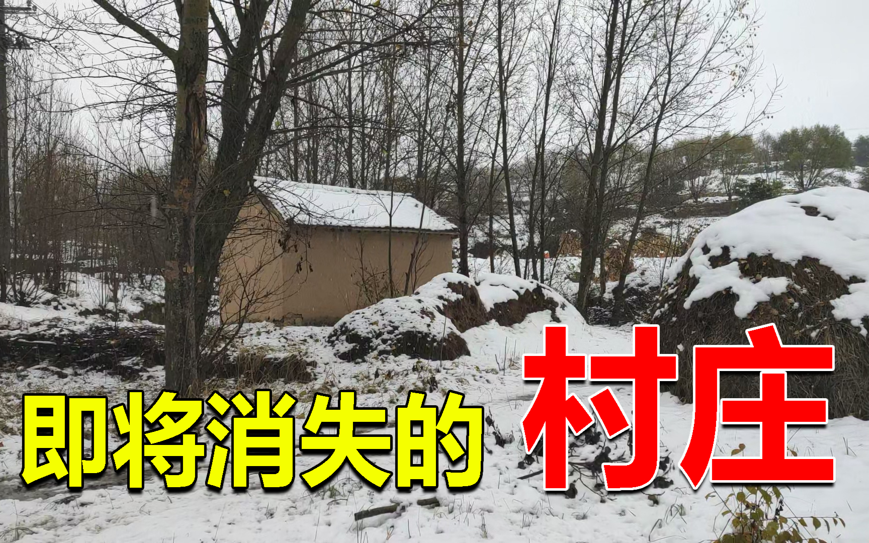 宁夏西海固地区,360多人的村子只剩下了4户人家,面临荒废
