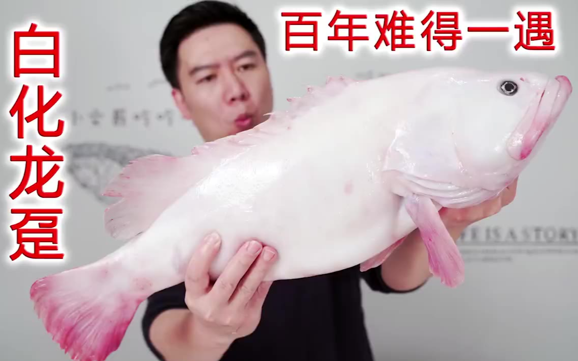 白嫖5个巨大生蚝,比手臂还长,用独家秘制蒜蓉酱烤居然还是翻车