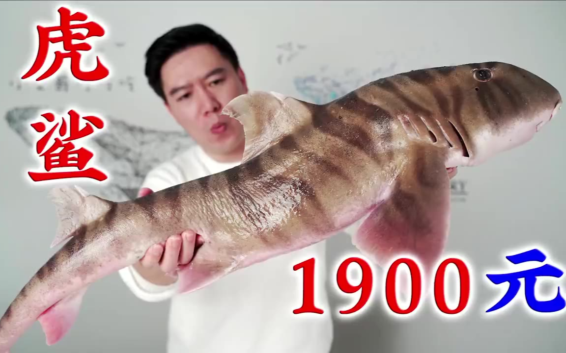 1980买一条巨大虎纹鲨,做一锅泡椒酸菜鱼,酸辣刺激,越吃越上头