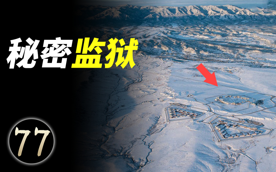 在美国每107个美国人当中,就有一个人被囚禁,这是为什么?