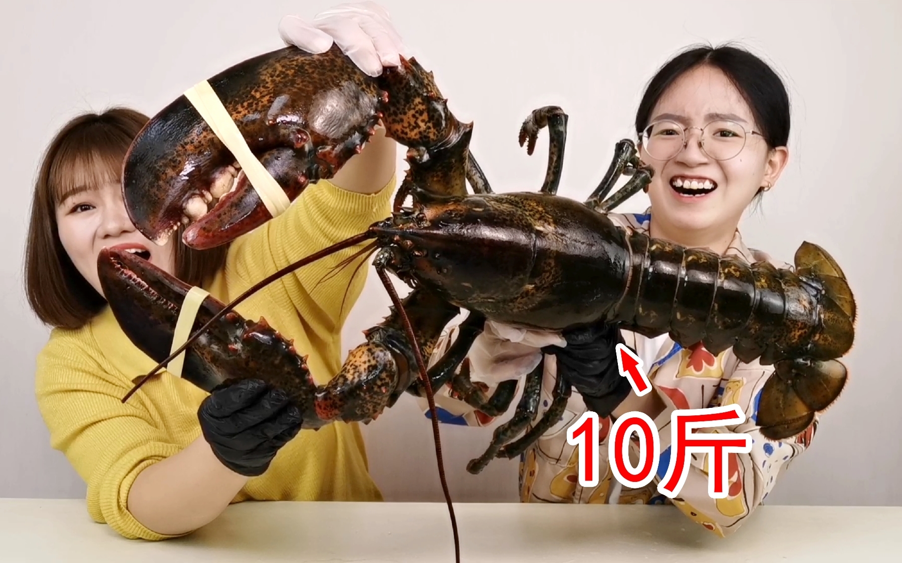 10斤的波士顿大龙虾做成虾片会是什么味道!