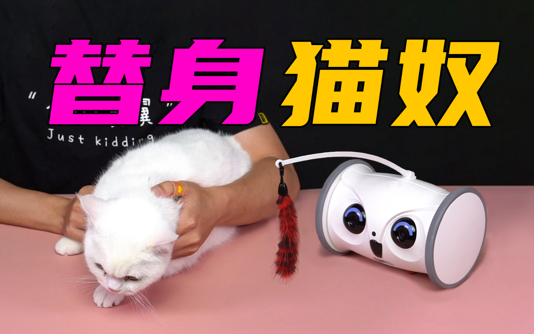 【无聊的开箱】智能替身猫奴机器人?这下去电子厂打工不用担心宠物没人陪了