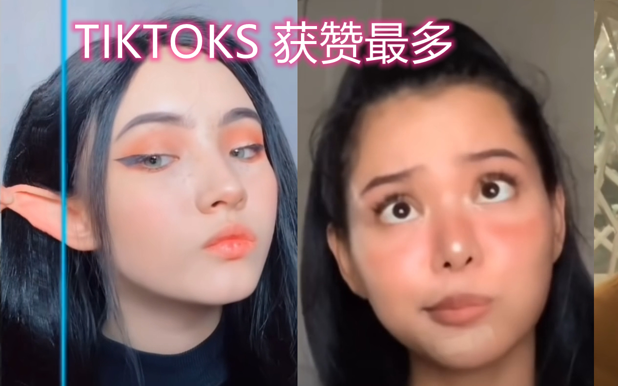 外国抖音tiktok 热门 小姐姐、萌宠等 2020年12月获赞最多的视频合集(转自youtube)