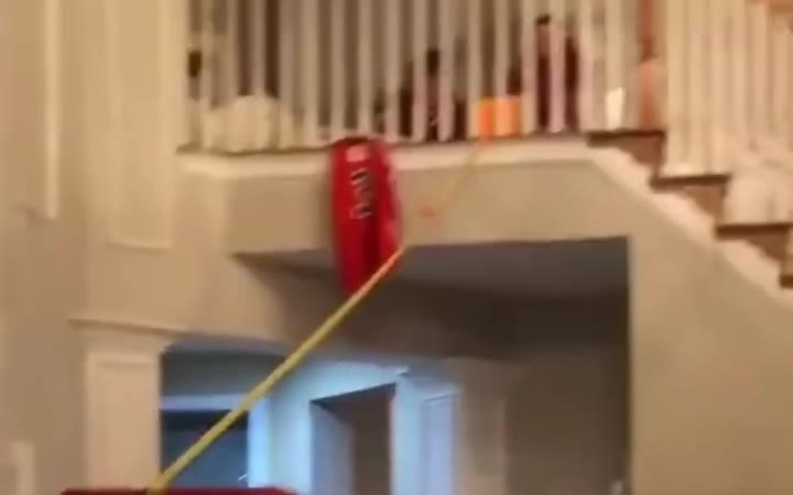 猫:要不是我帮忙,你们能进