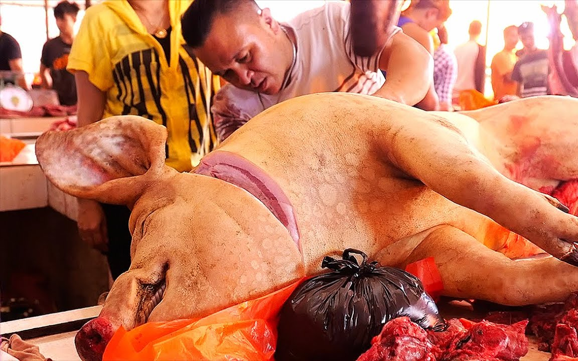 印尼路边小吃 - 猪肉排骨 万鸦老 印度尼西亚