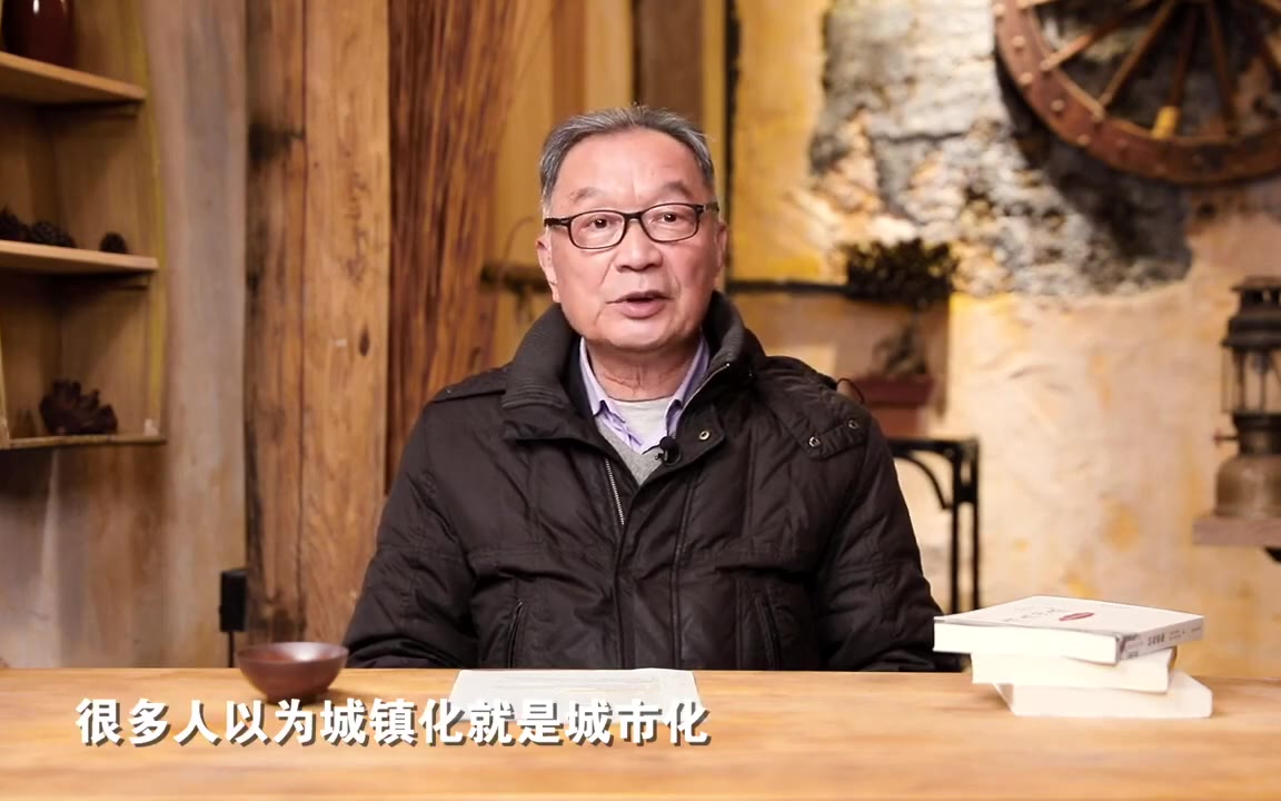 温铁军:90年代中国农业发展困境
