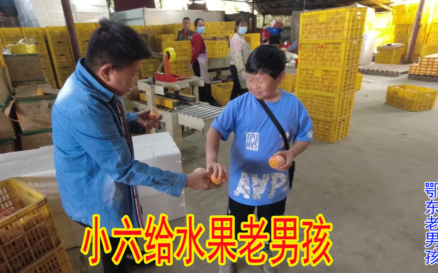 老男孩去小六桂林的水果仓库,这场面不一般,难怪他们做得这么好