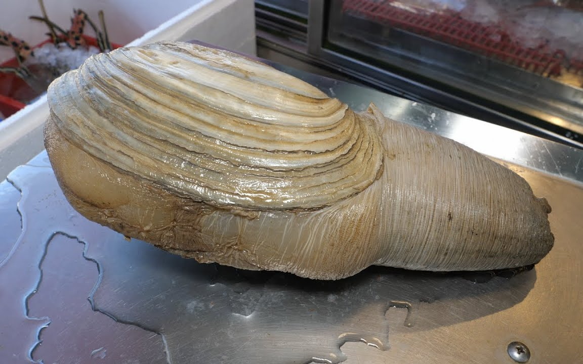 象拔蚌三吃(刺身, 海鲜粥, 热炒), 蚵仔煎蛋, 炒水莲