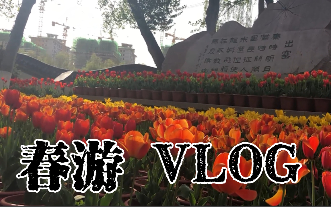 【慕伯】春游VLOG,记录老年生活的一天。