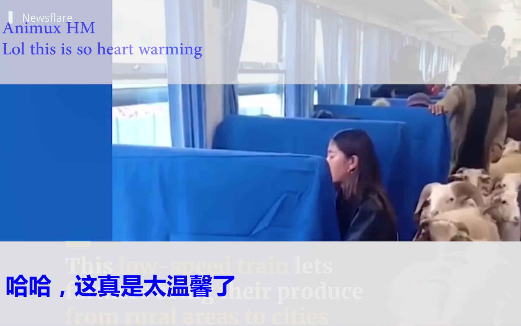 外国网友热评:这就是为什么我说中国有很多有趣的事情