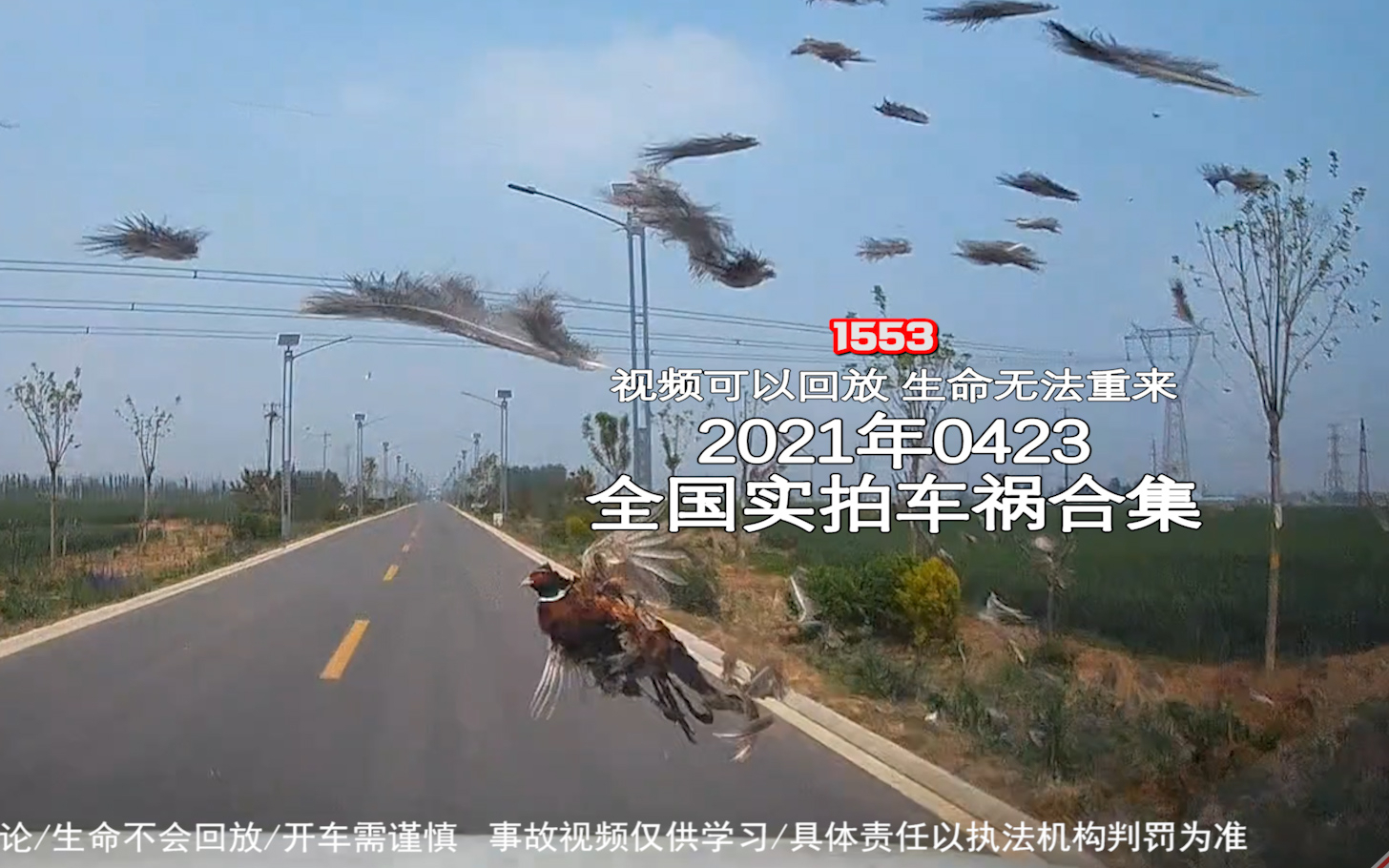 1553期:男子酒后参加科目三考试,当场被判不合格【20210423全国车祸合集】
