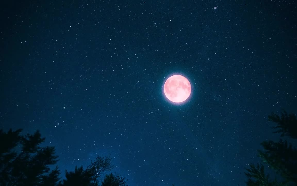 【助眠音声】 田间的夜晚 小溪·河流·小动物(放松心情 恢复疲劳!)