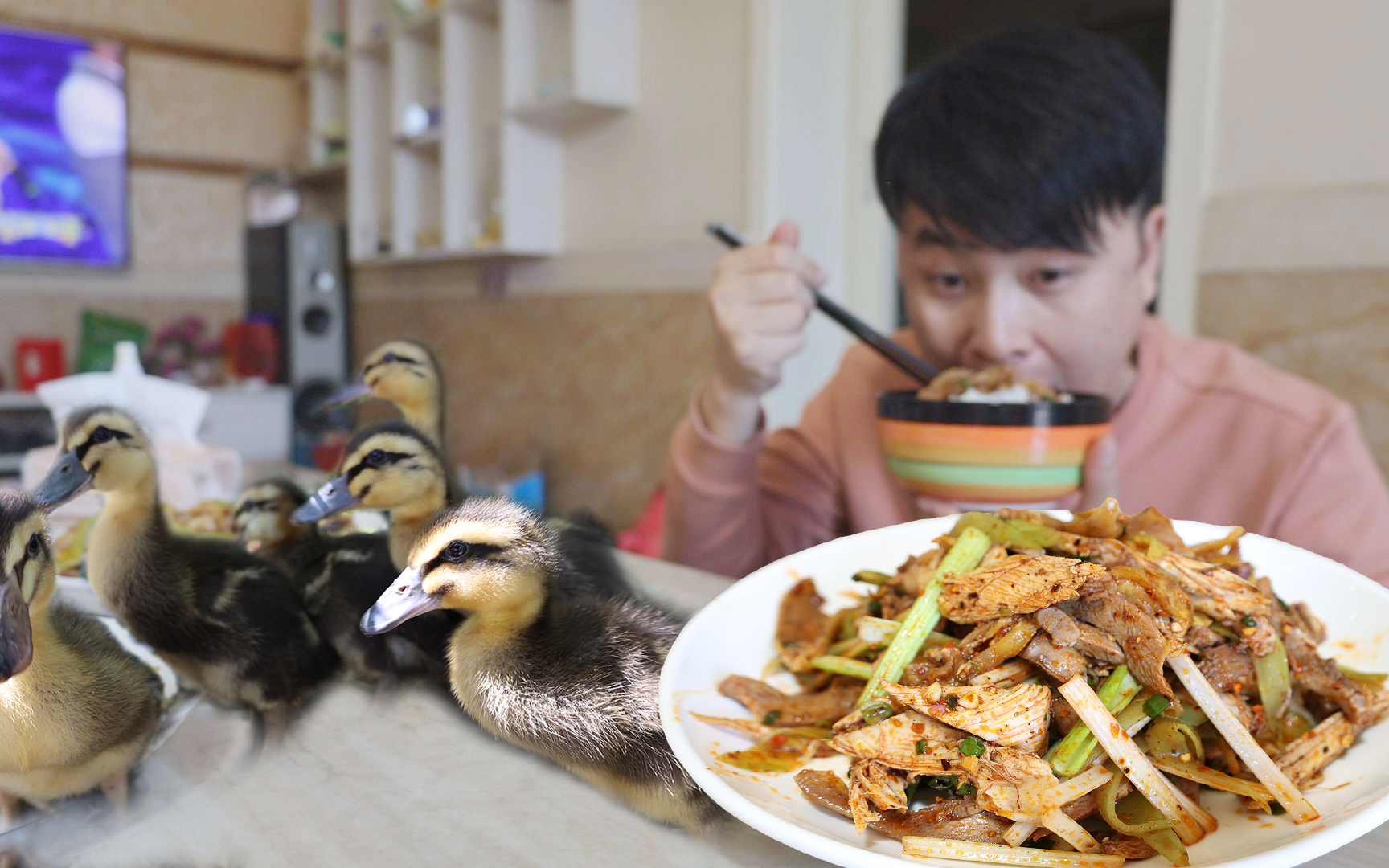 今天去买了小鸡小鸭,中午秘制香辣凉拌鸡,看着鸭子吃着饭,真香