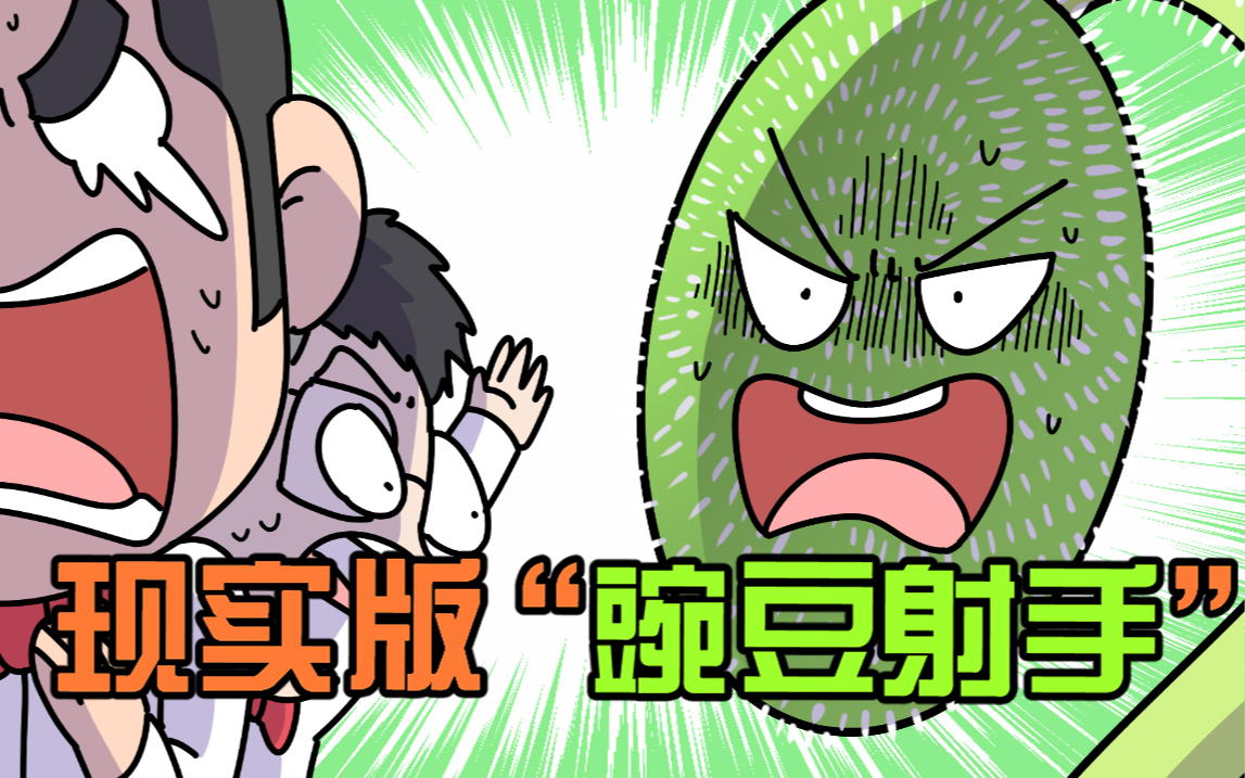 二营长,我的意大利铁炮瓜呢?