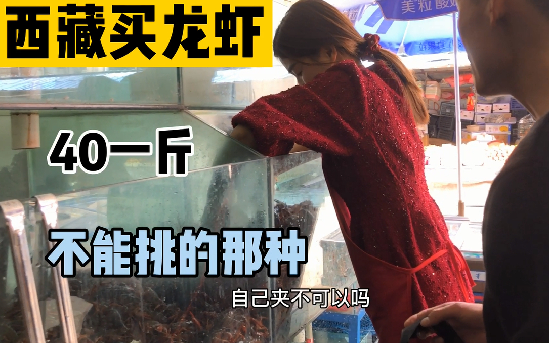 西藏小龙虾价格都赶上牦牛肉,运输不便,买的10斤好多不动了