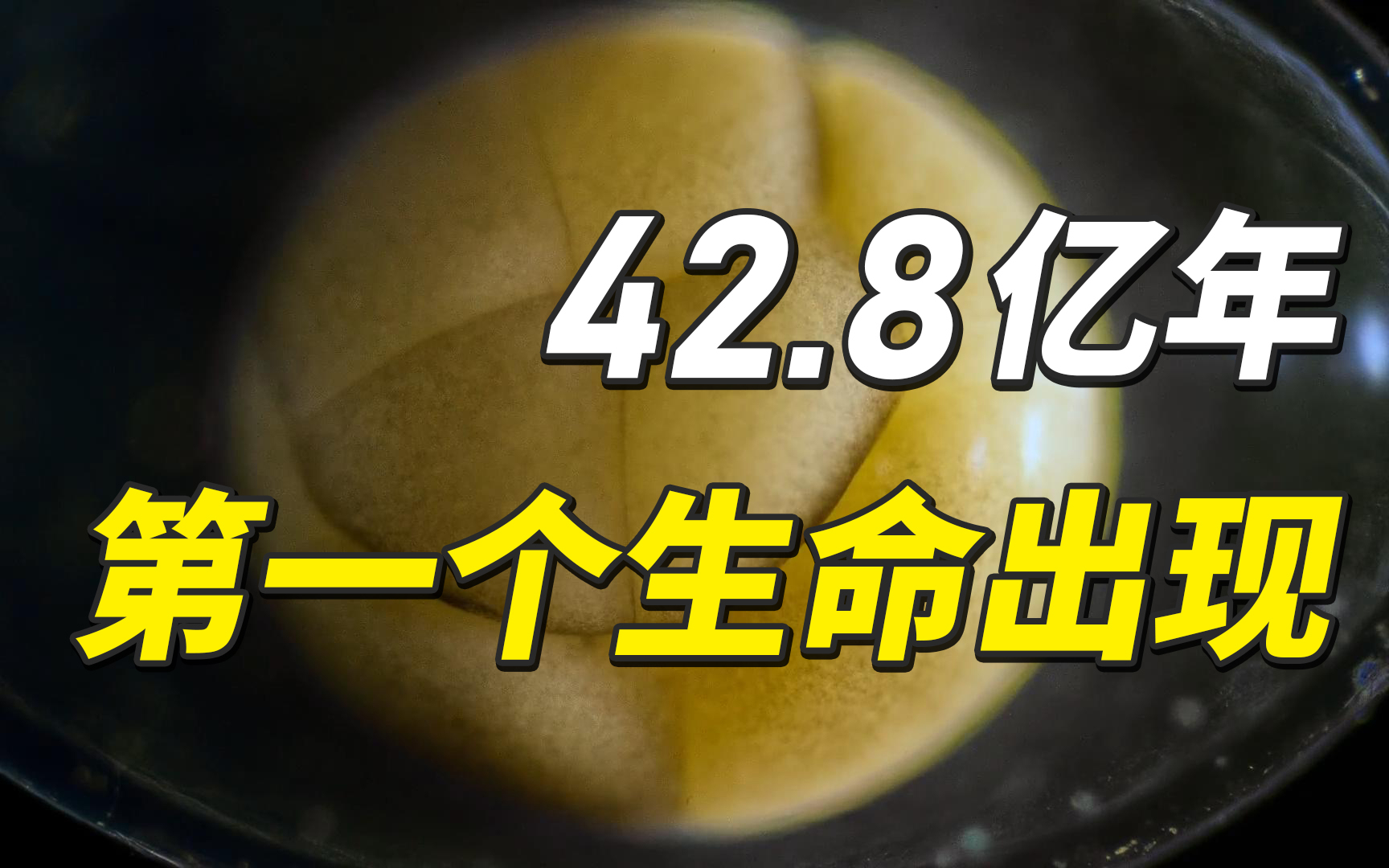 42.8亿年!第一个生命出现,统治地球长达30亿年!