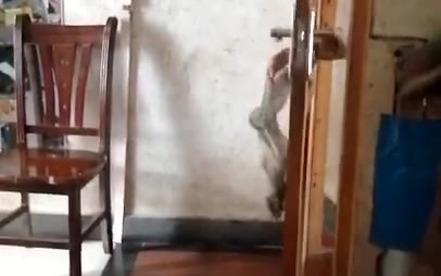 这小女孩经常去同学家偷钱,把人家家门打开进屋,偷过好几次了。这次视频拍摄者就在家里守株待兔