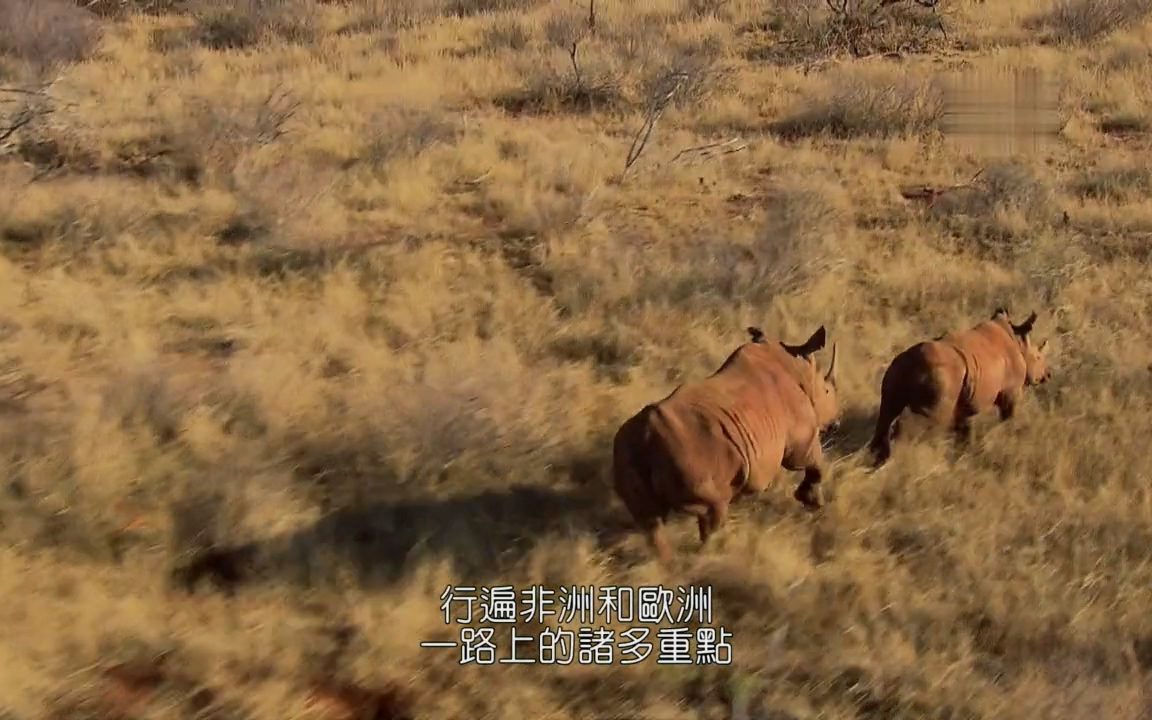 纪录片 顶级全球之旅.S03E26.Top.Travel.S03E26 英语中字 720P