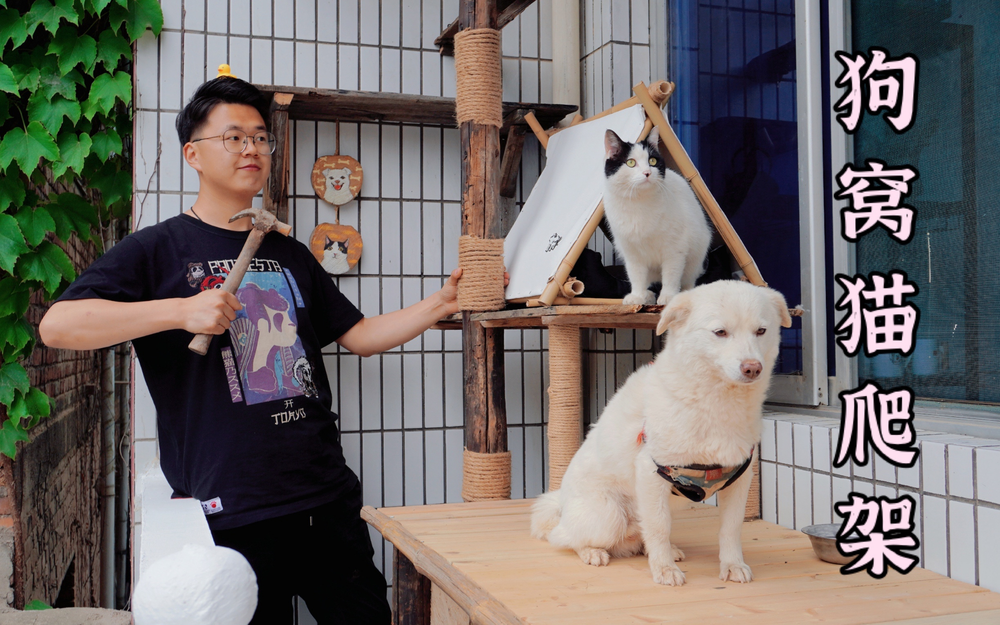 修一个这样的狗窝猫爬架,全村的鸡鸭鱼鹅都馋哭了