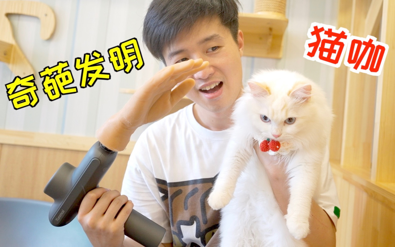 带着筋膜枪改的撸猫器去猫咖,猫都被撸傻了!其他客人都想买!