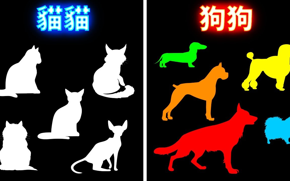 为什么狗狗的样子千奇百怪,而猫却不会?