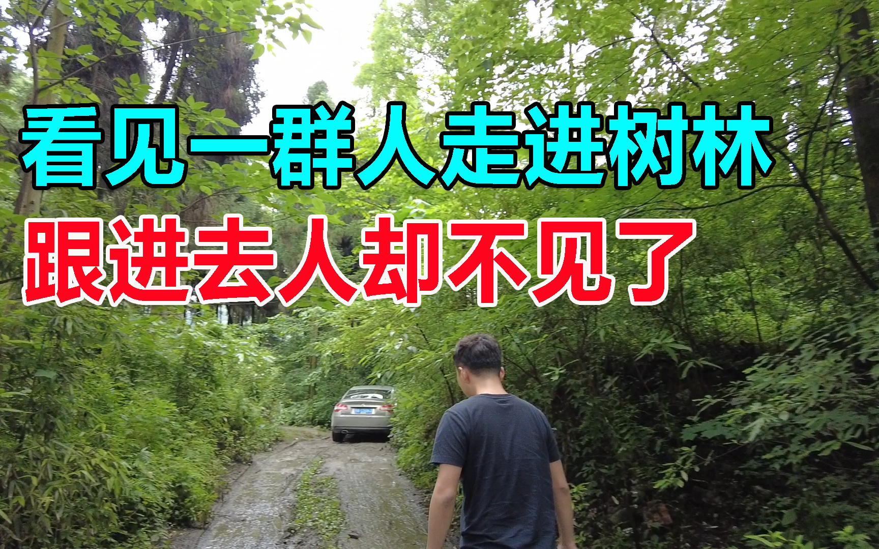自驾来到都江堰,好多人走进景区旁的树林,我们跟进去人却不见了