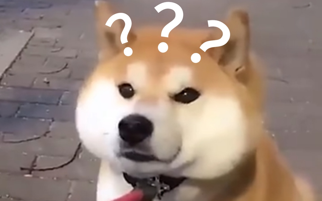 《动物迷惑行为大赏➎➎》