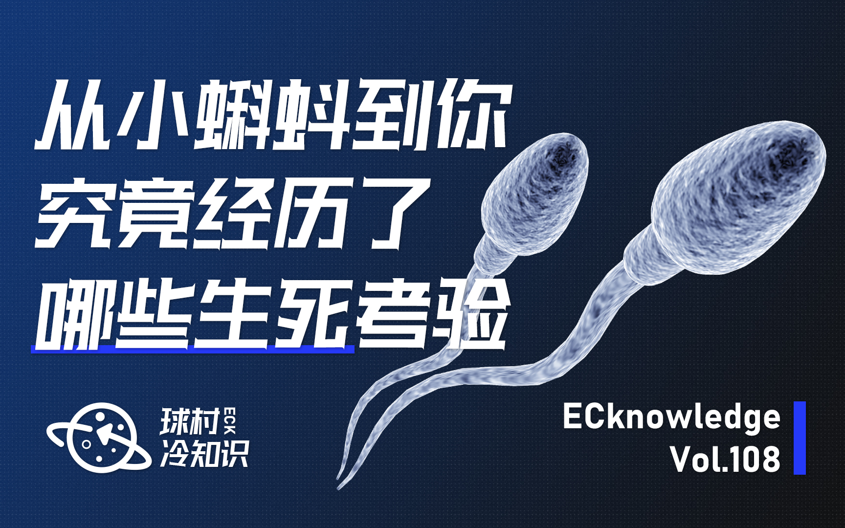 从小蝌蚪到你,究竟经历了哪些生死考验?