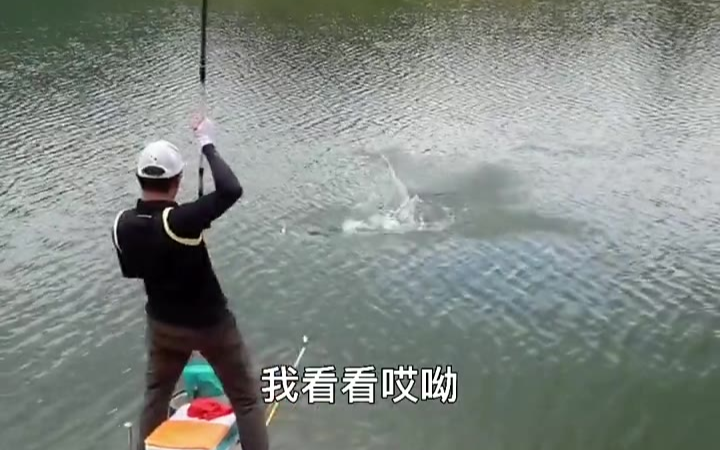 挑战新荣水库巨鲢