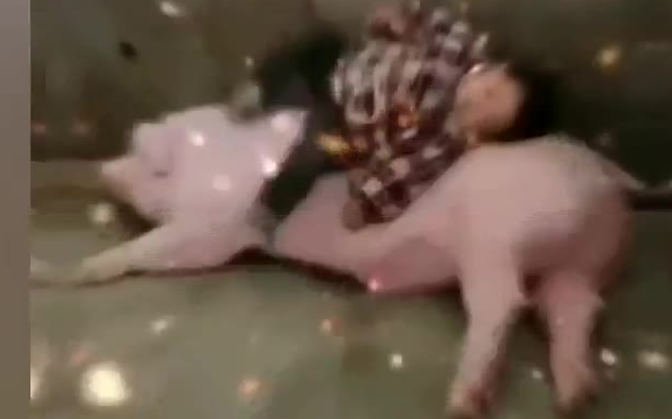 准备......【不要笑挑战,幸存率0.0000001%】
