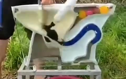 理想与现实