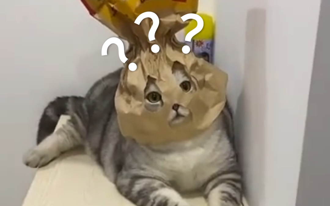 【抽奖速来】《动物迷惑行为大赏➎➐》